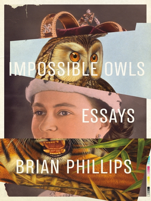 Title details for Impossible Owls by Brian Phillips - Available
